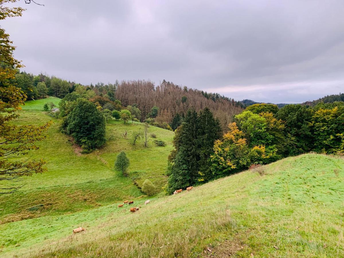 Naturhof Kluge Saupsdorf Bagian luar foto