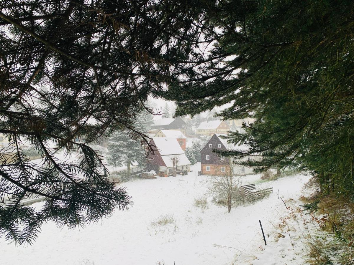 Naturhof Kluge Saupsdorf Bagian luar foto