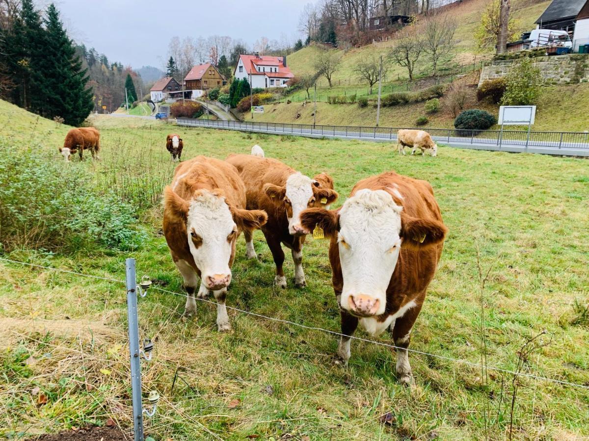 Naturhof Kluge Saupsdorf Bagian luar foto