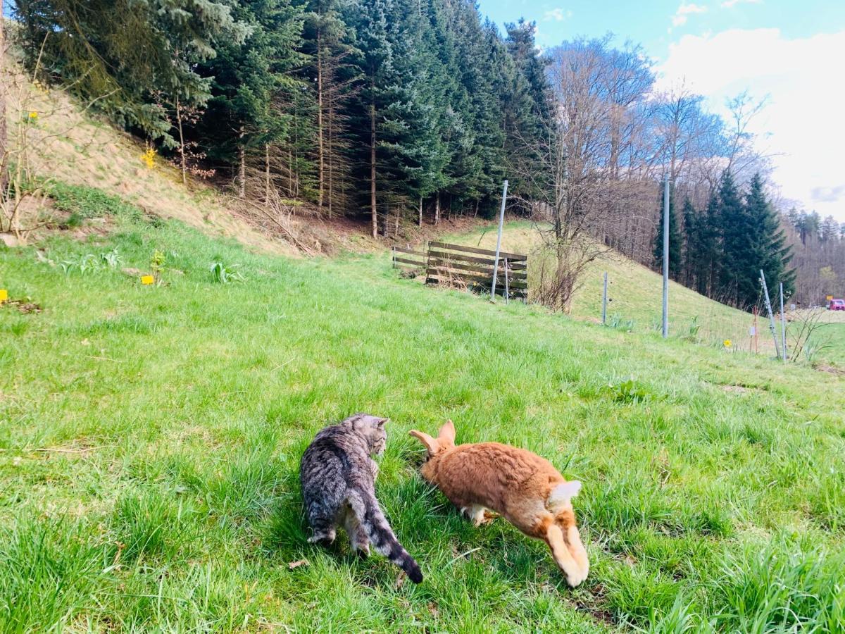 Naturhof Kluge Saupsdorf Bagian luar foto