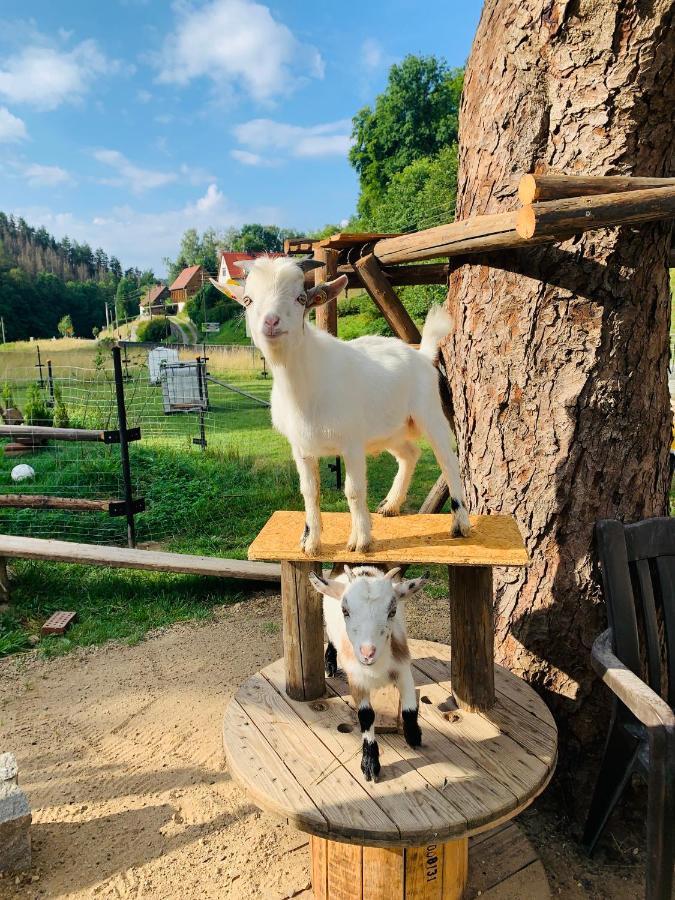 Naturhof Kluge Saupsdorf Bagian luar foto
